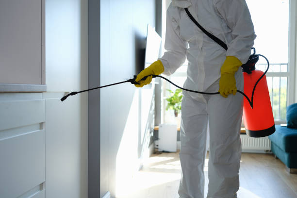 Best Commercial Mold Removal  in Mountain Village, CO